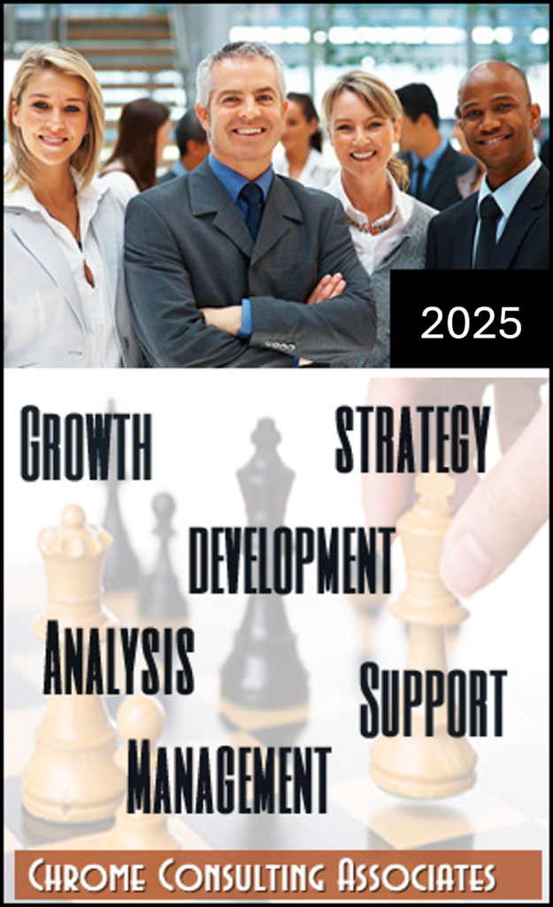 Consulting Team